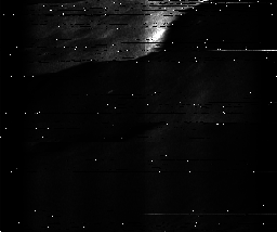 ascat_grayscale_ch1.png
